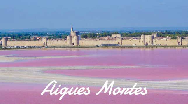 aigues-mortes-644