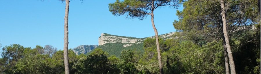 Vue depuis la terrasse